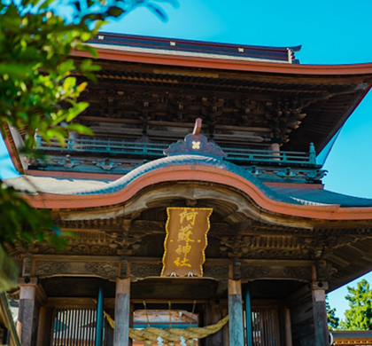 九州南北全覽賞櫻與紫藤