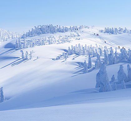 冬遊東北~日本東北兩大樹冰奇景6日