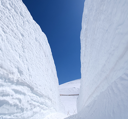 秩父蒸汽火車&黑部立山系列團