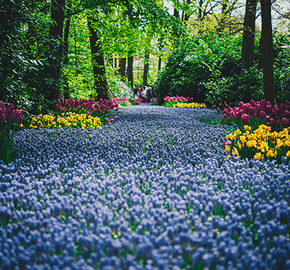 歐遊大城小鎮~荷蘭‧比利時‧盧森堡13日