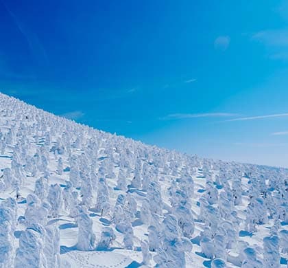 雙樹冰夢幻登場!日本東北雪國7日 雙樹冰夢幻登場!日本東北雪國7日